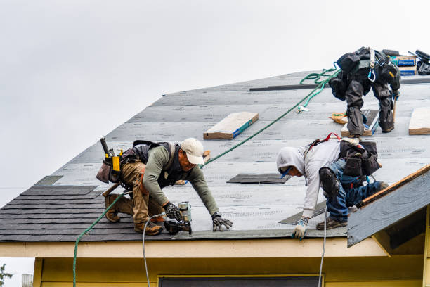 Professional Gutter Installation technician working in Lake Park, IA